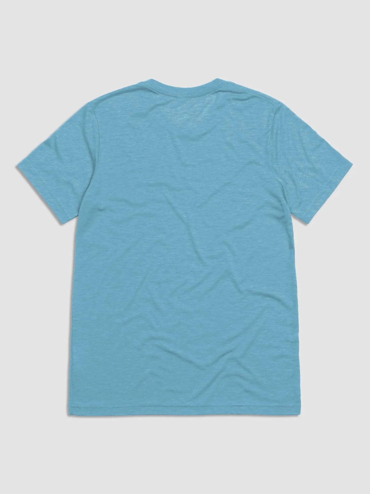 Holy Carp: Bella+Canvas Triblend Short Sleeve T-Shirt product image (2)