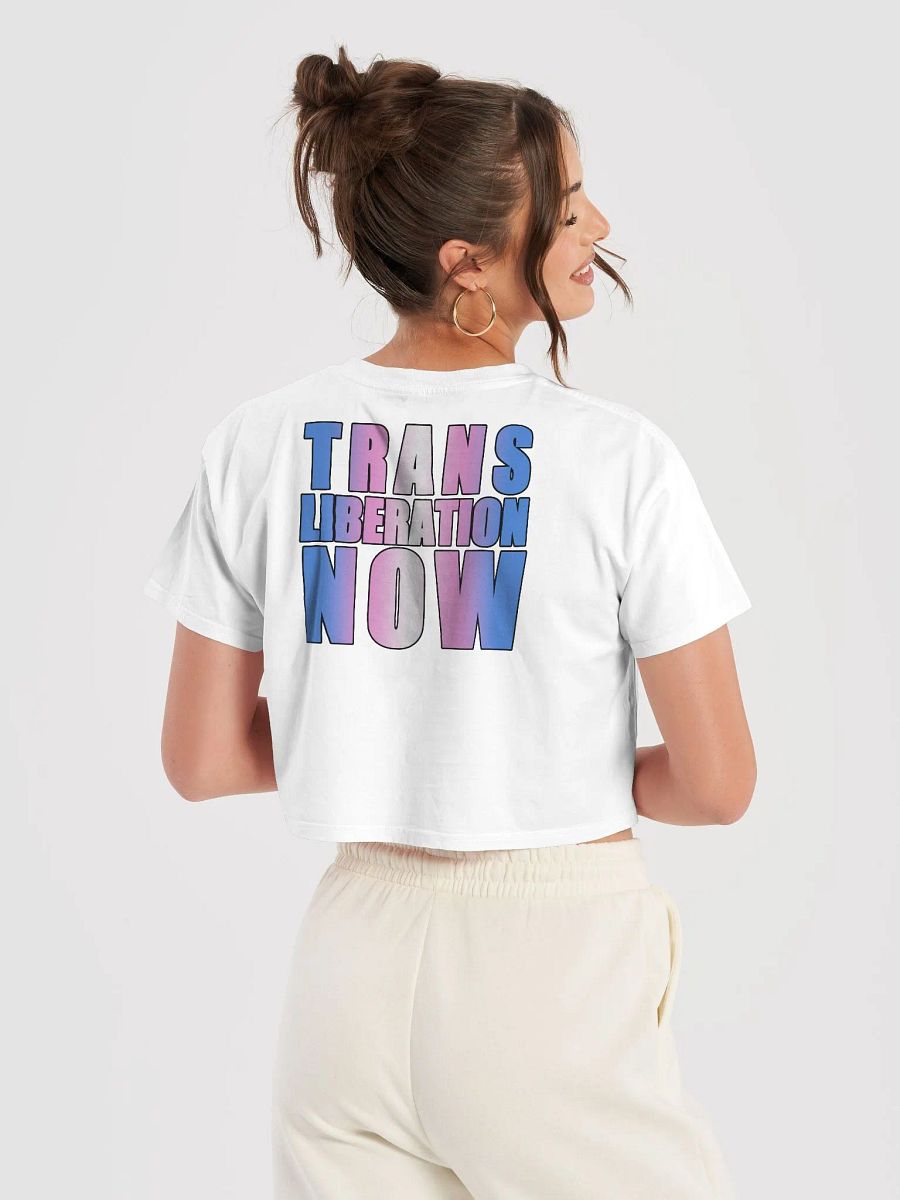 Trans Liberation Crop Top product image (6)