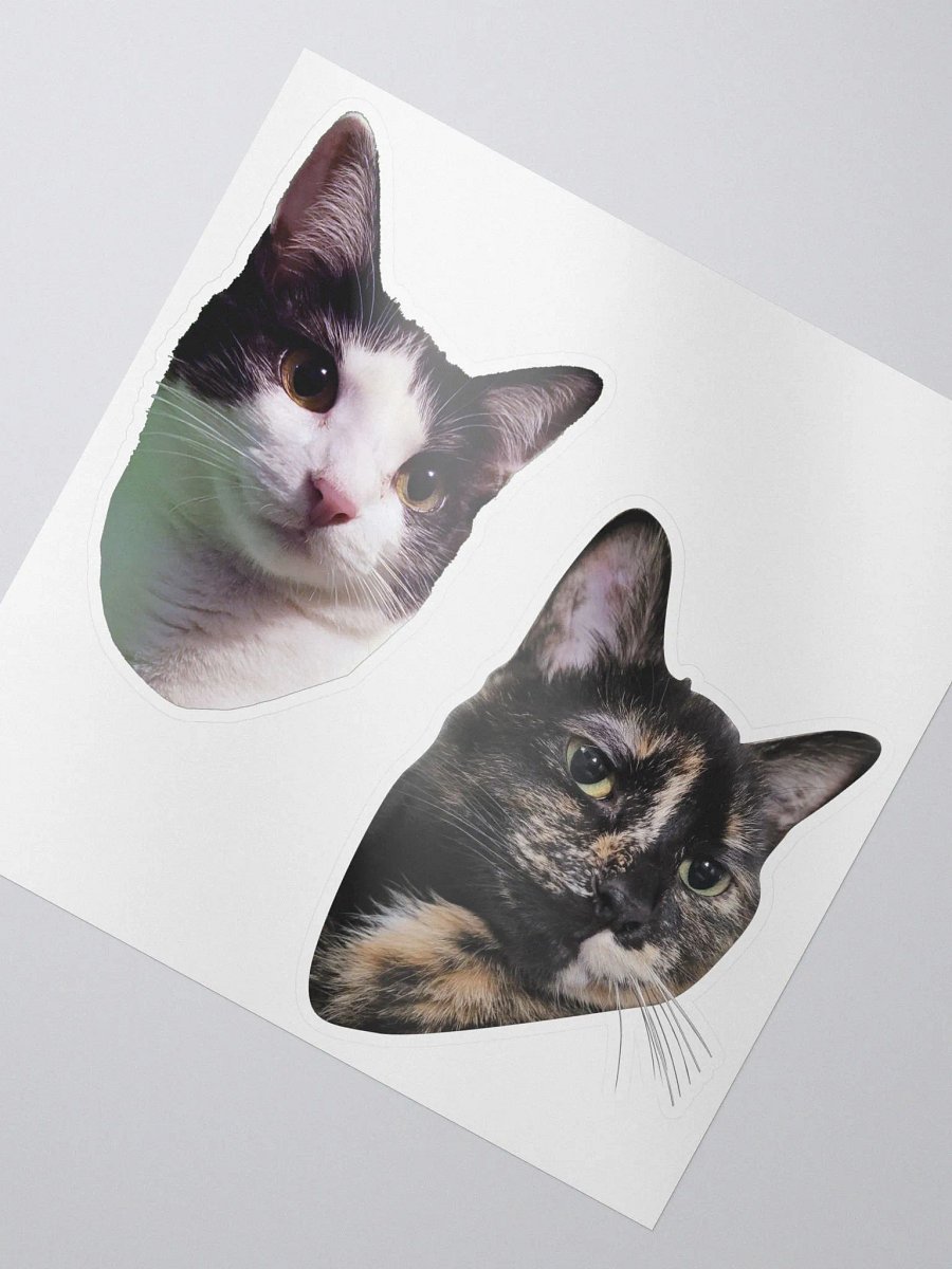 Iris & Roxy Sticker Set product image (2)