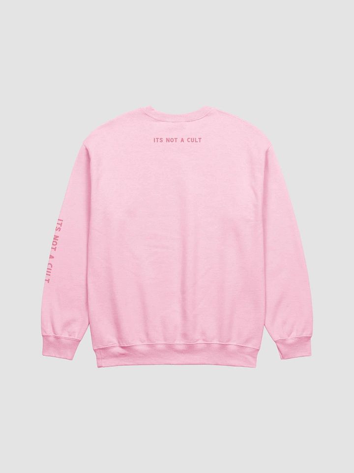 NOT A CULT Sweatshirt product image (10)