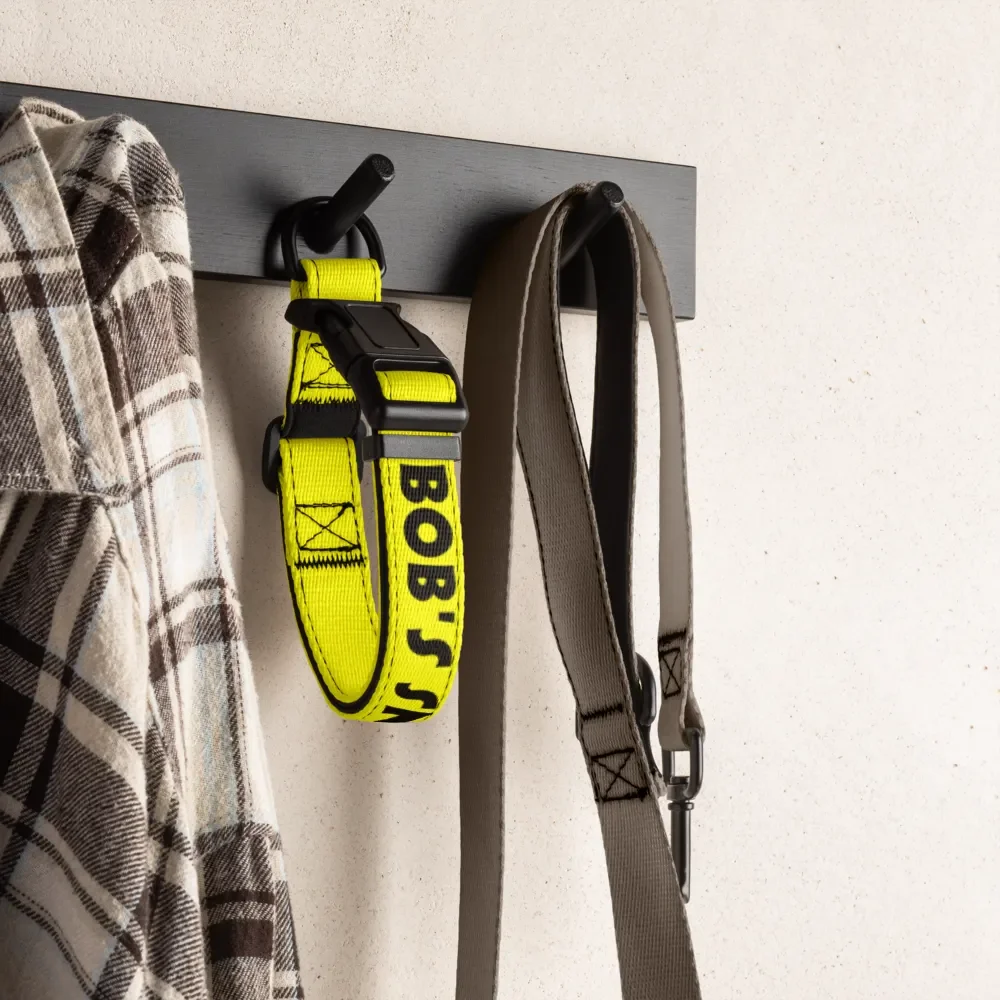 Pet Collar with Heartfelt Words 💛⚫️ Bob's Sniffing Patrol product image (4)