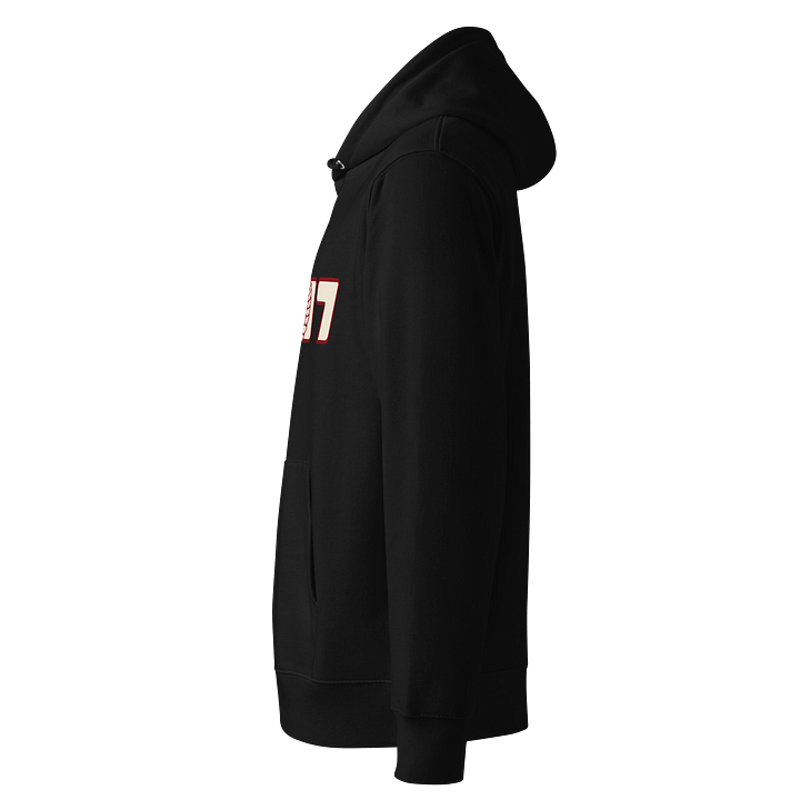1917 Wladimir Iljitsch Lentin Hoodie product image (2)