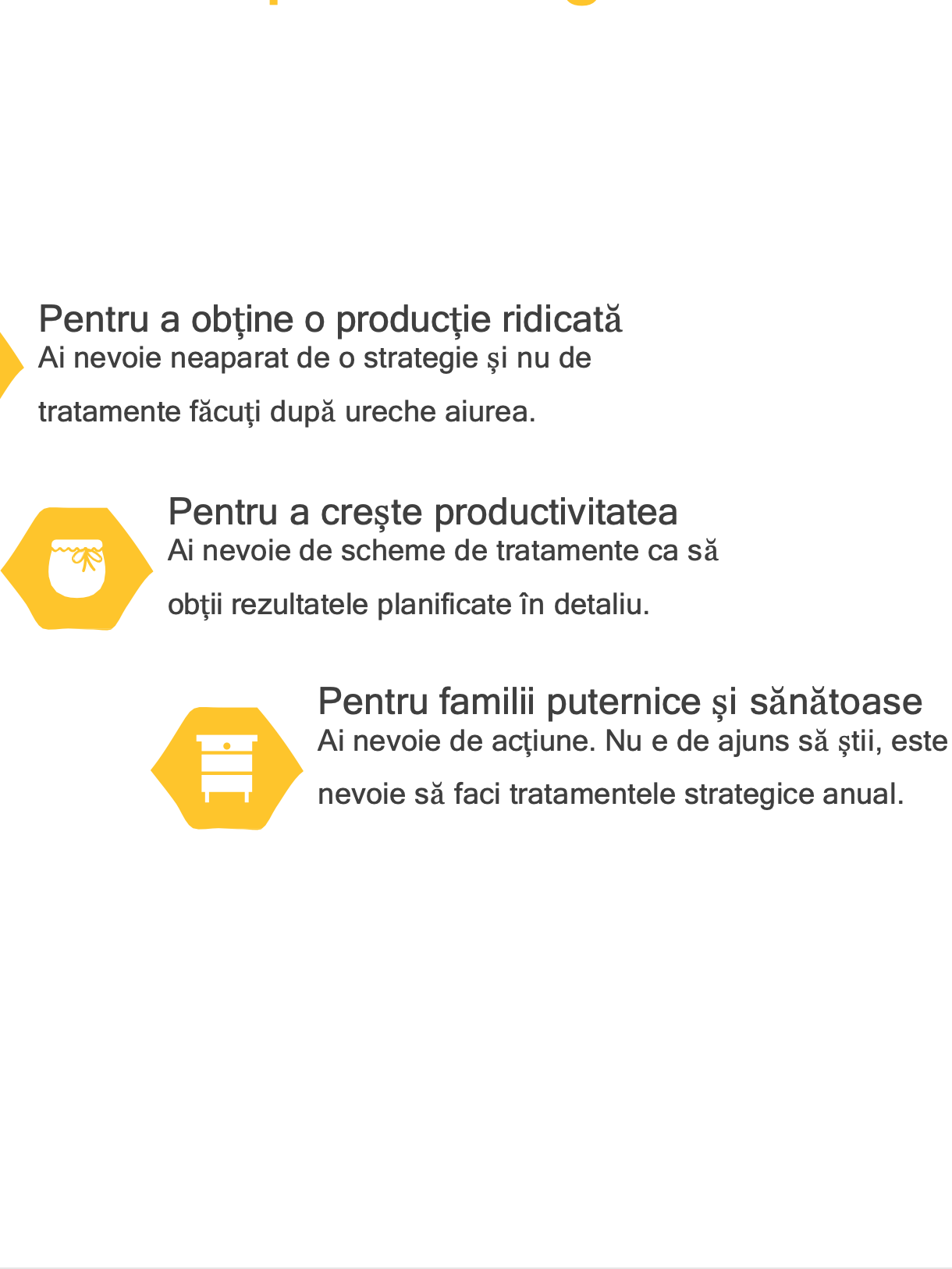Tratament Eficient În Stupină - FULL WorkShop product image (2)