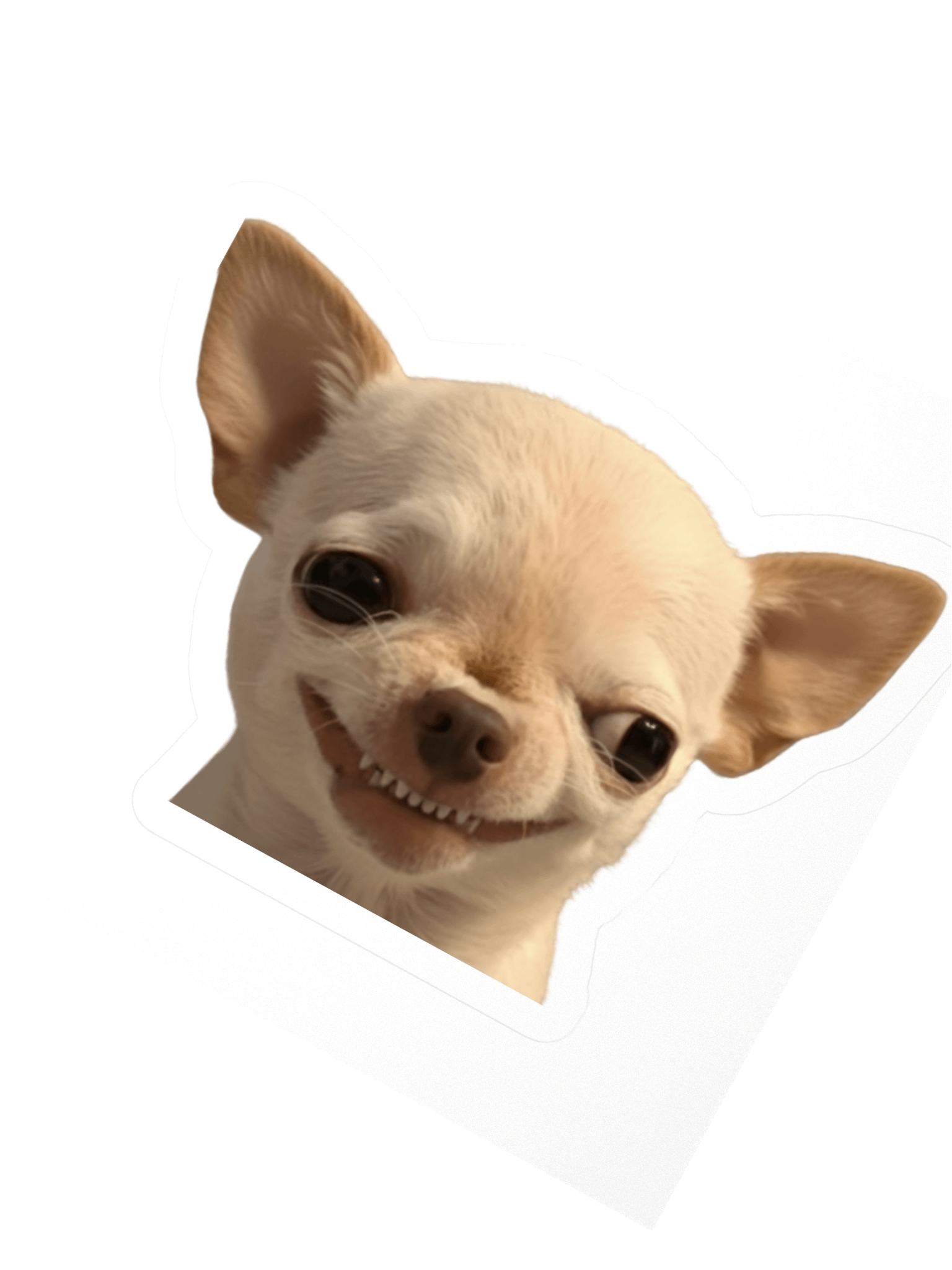 Evil Dog Sticker product image (5)