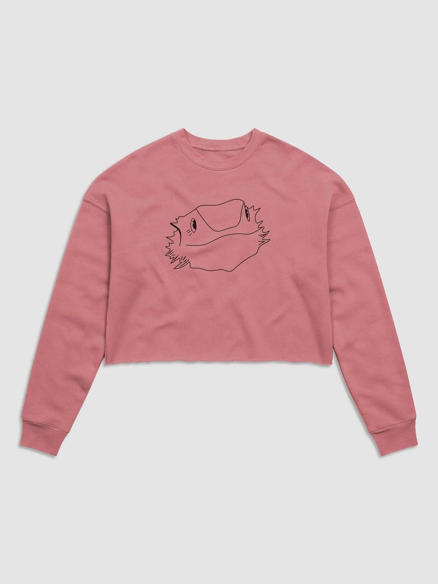 Frankie Fleece Crop Top product image (2)