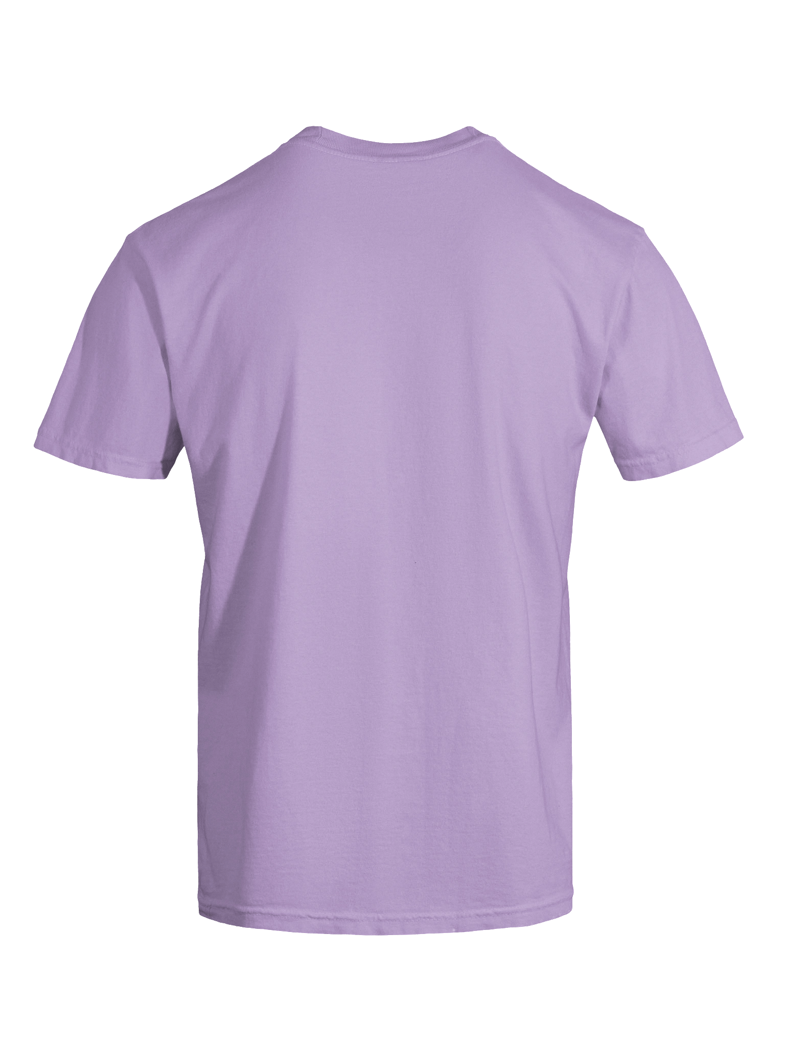 Head Over Heeler T-Shirt(Embroidered) of an Australian Cattle Dog(Blue Heeler, Docked Tail) product image (39)