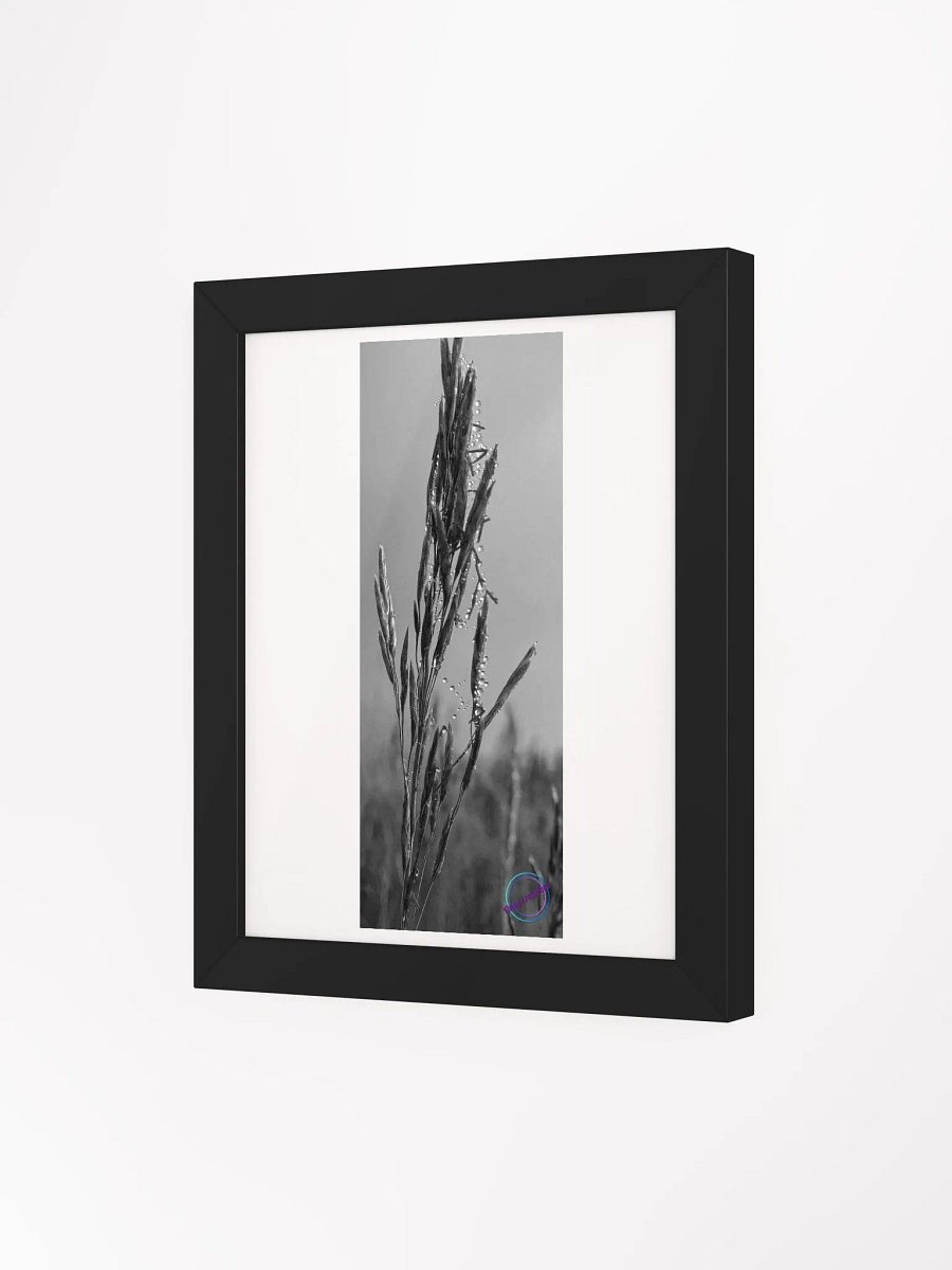 Dewy web product image (5)