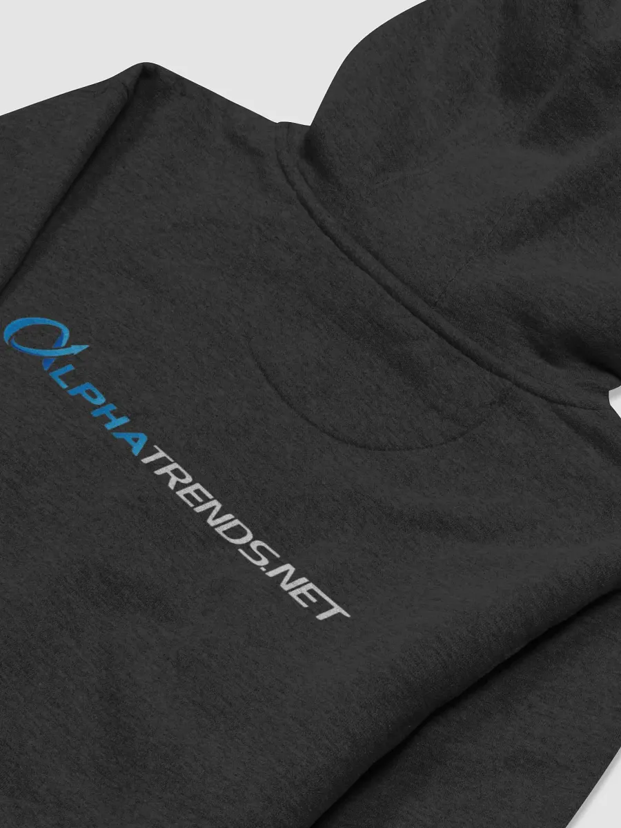 Alphatrends Hoodie (White Text) product image (14)