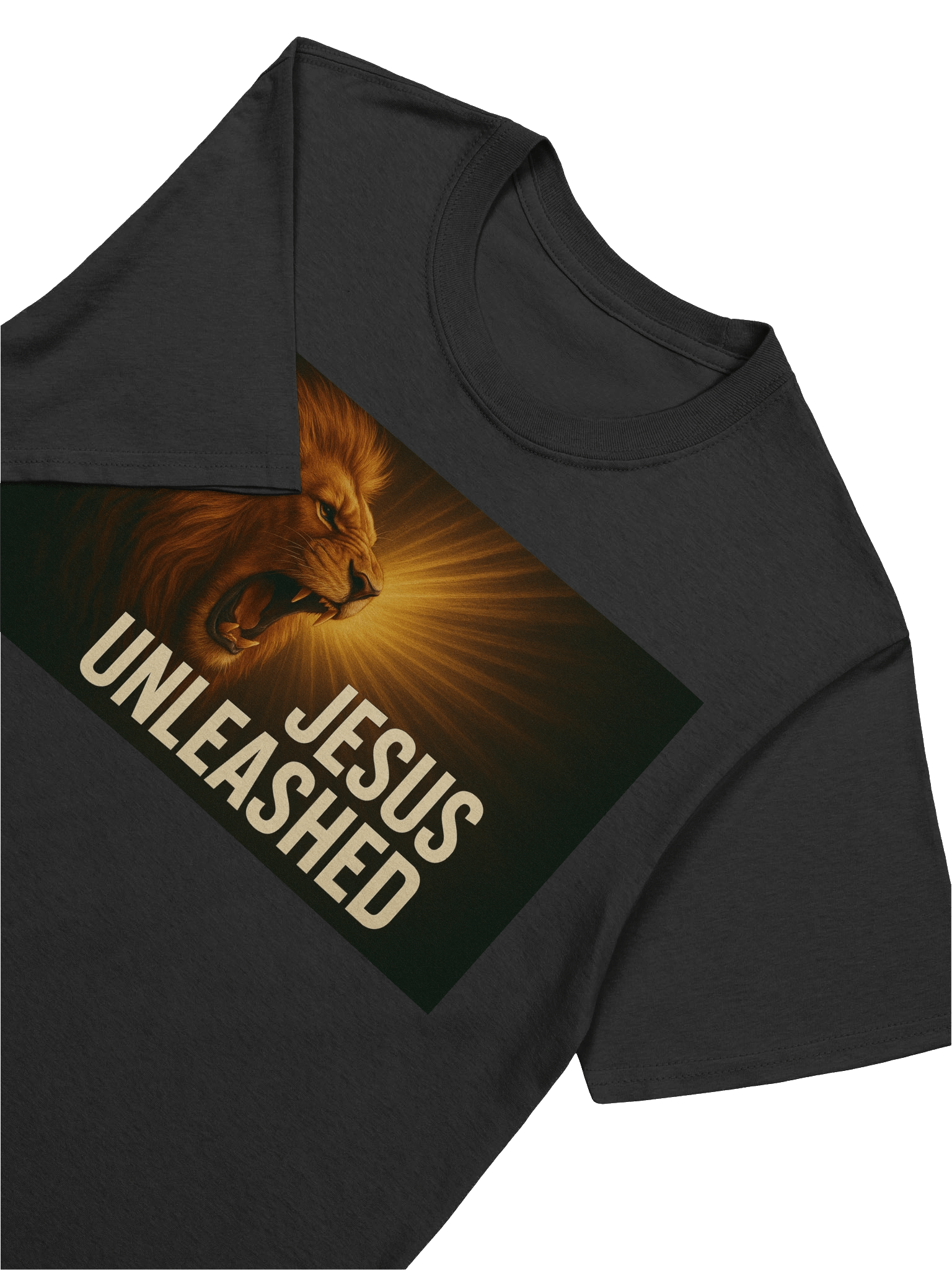 jesus unleashed product image (7)