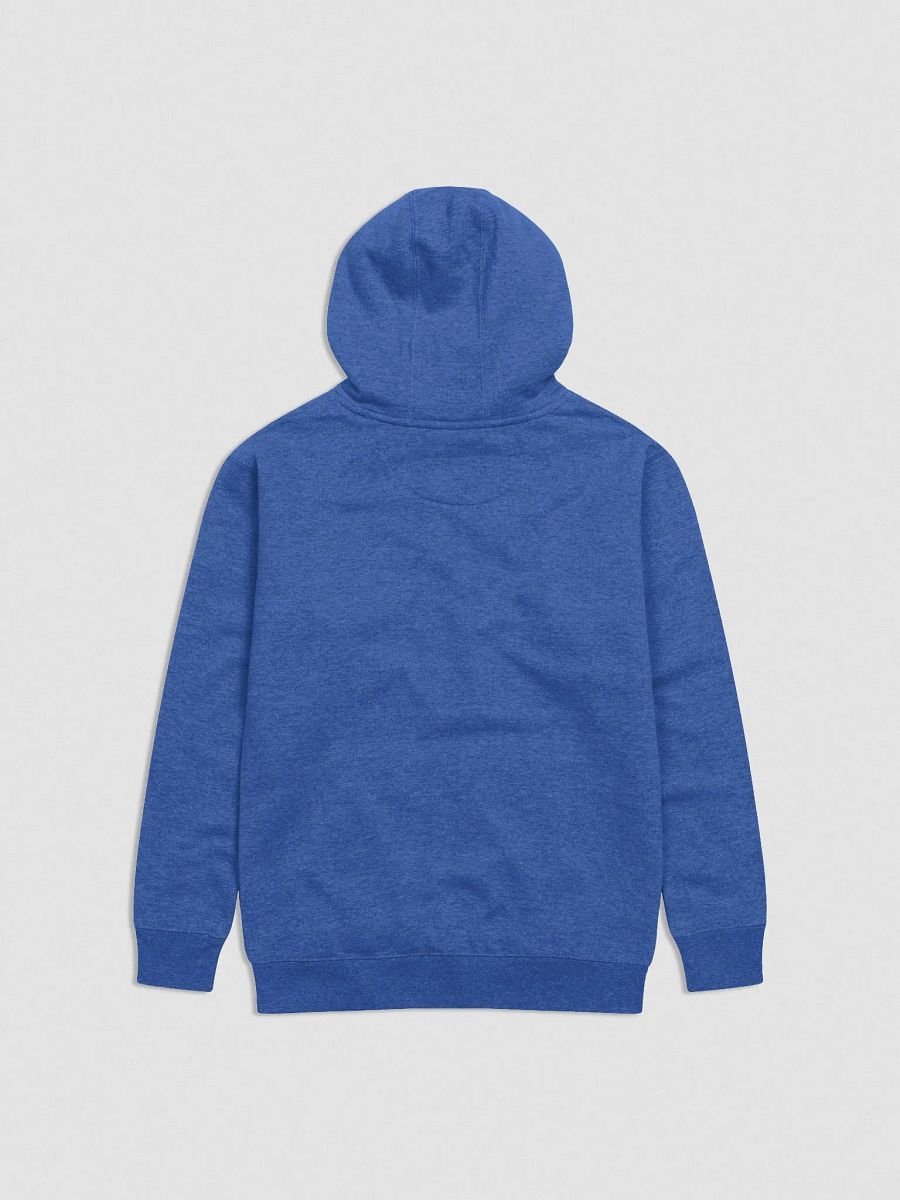 Dreaming of SSR MKII - Embroidered Hoodie product image (4)