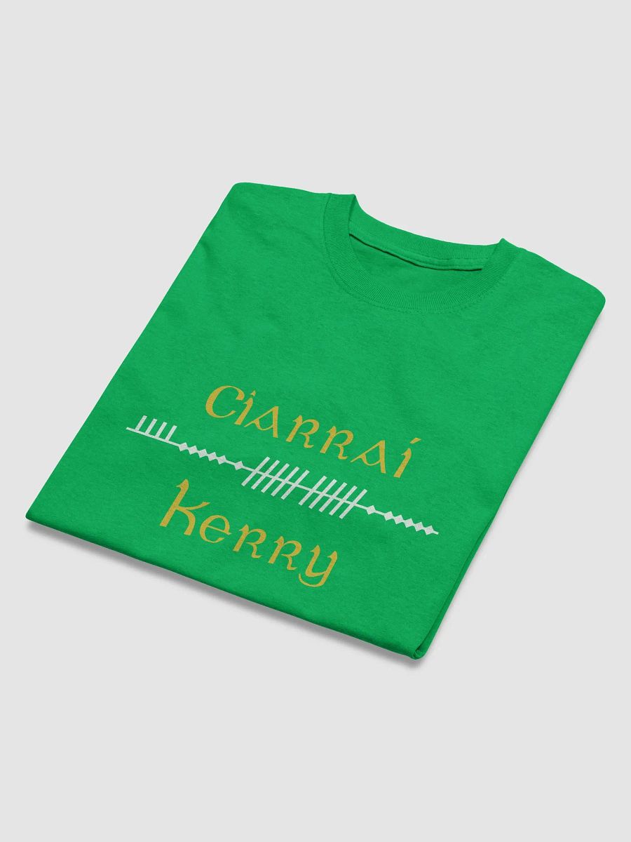 Kerry/Ciarraí Scholastic style Ogham green Printed T-shirt product image (3)