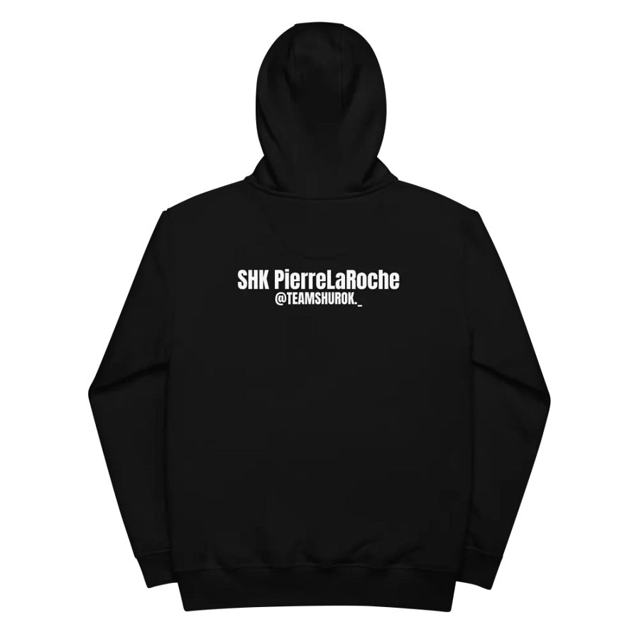 PREMIUM: Pull PierreLaRoche Team Shurok product image (4)