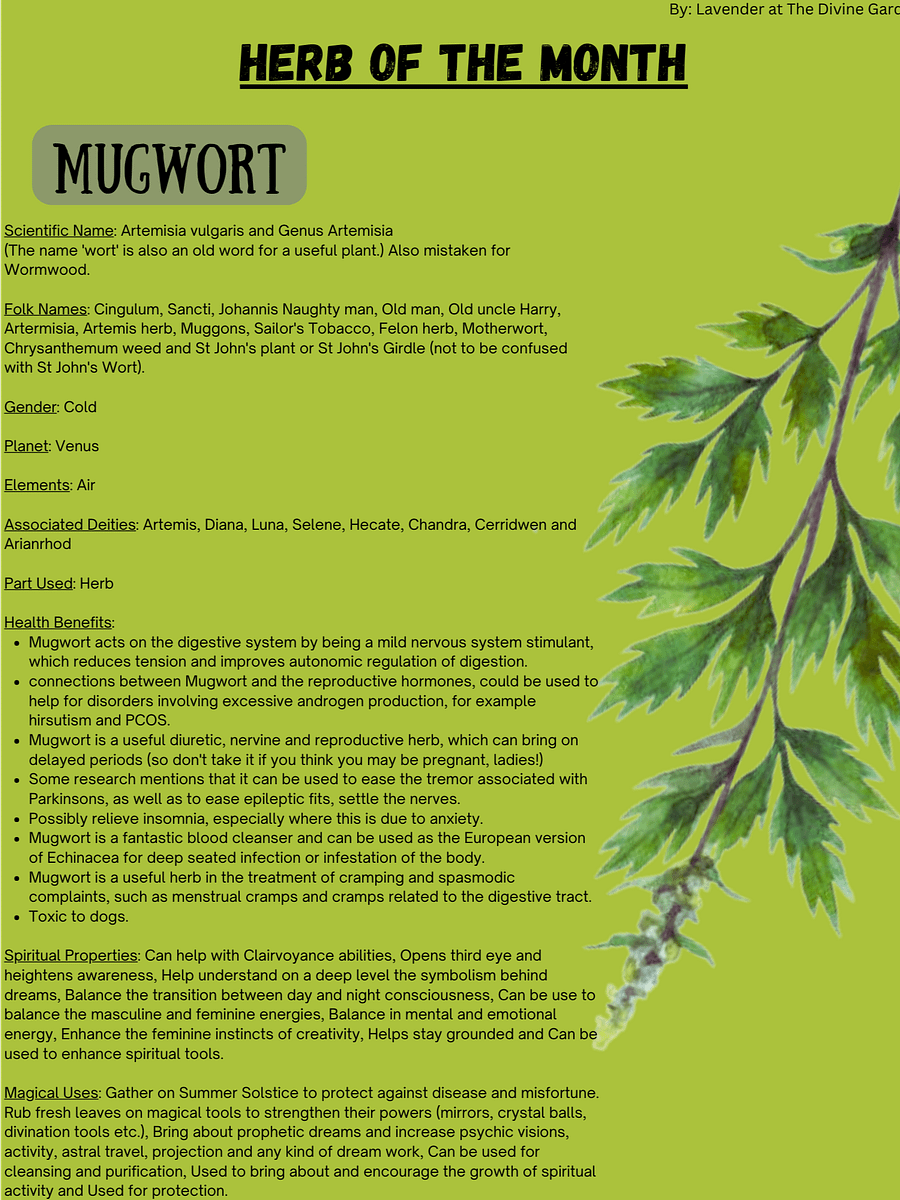 Mugwort product image (1)