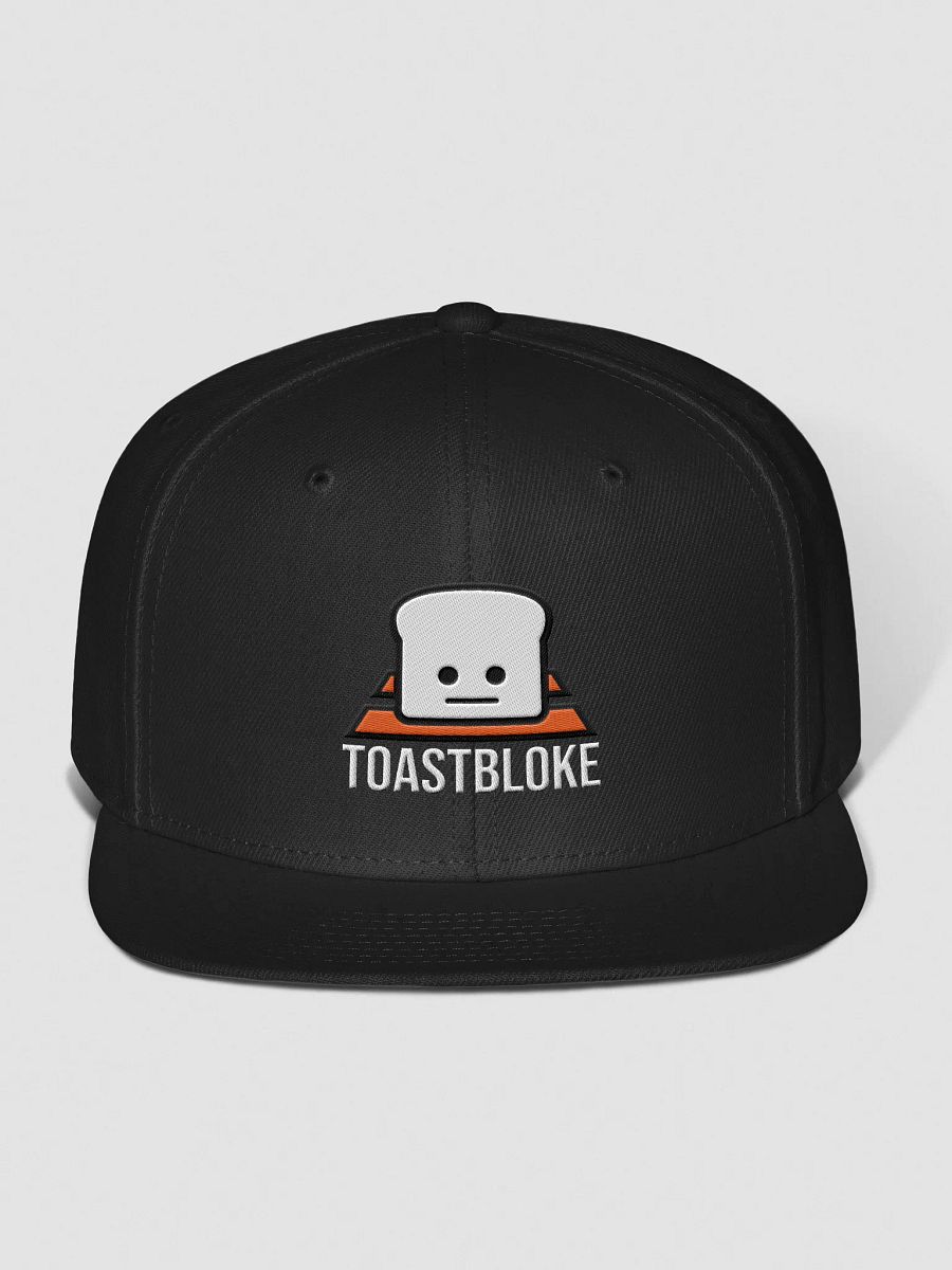 Logo Snapback product image (1)