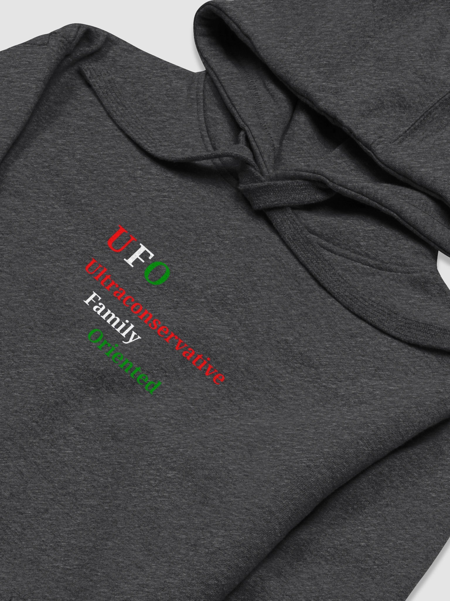 Ultraconservative Family Oriented Premium Hoodie product image (3)