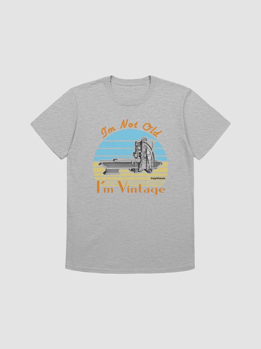 Softstyle T-Shirt (Planer) product image (1)