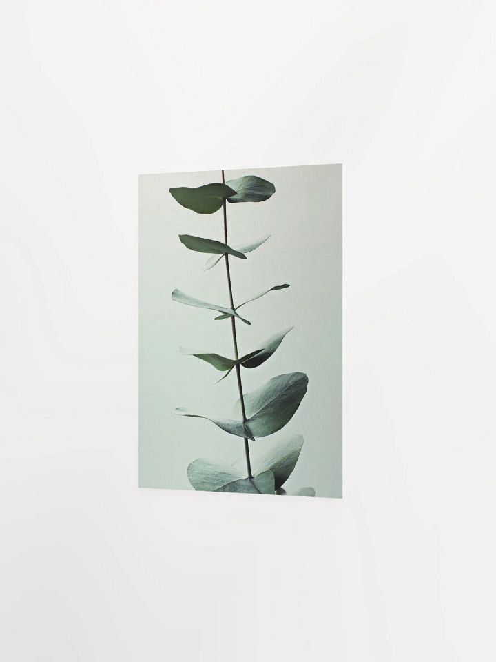 Eucalyptus Whispers Matte Poster product image (26)