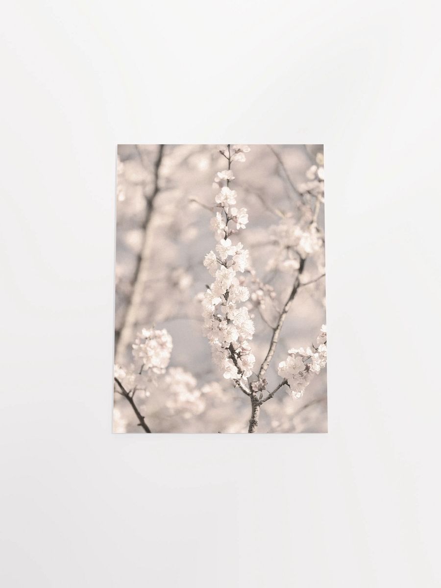 Sakura - Enhanced Matte Paper Poster product image (15)
