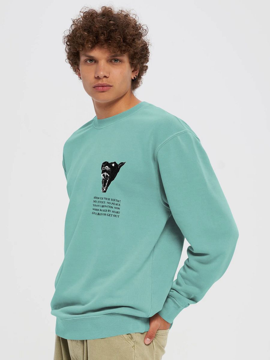 Show Em crewneck 1 product image (5)