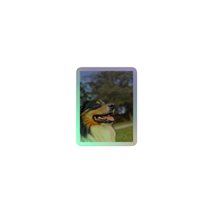 Bobo PHOTO product image (2)