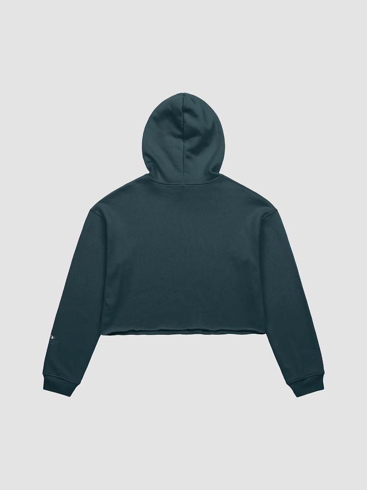 Golden Gate Park Raccoons Crop Top Hoodie (Assorted Colors) product image (2)