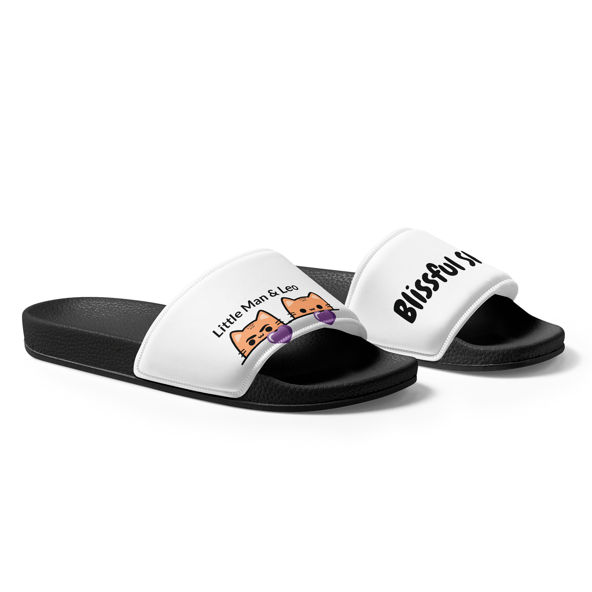 Little Man and Leo's Slides product image (4)