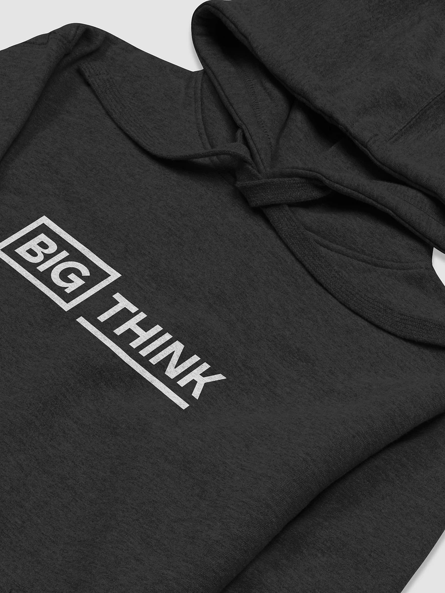 The Big Think Hoodie product image (3)