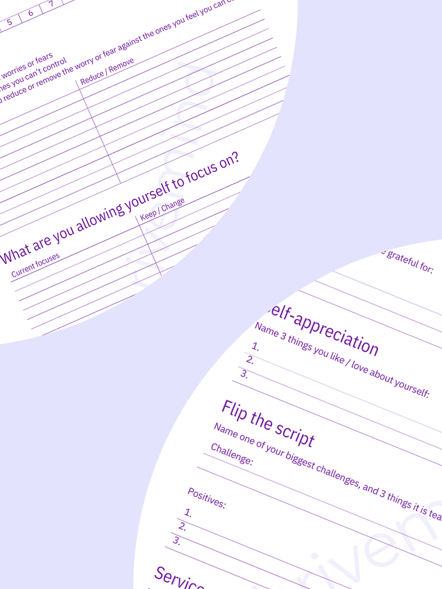 FREE Stress Reset Workbook product image (2)