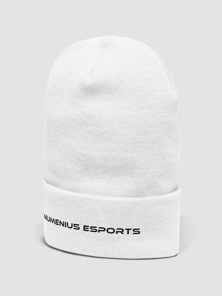 Numenius Esports Beanie - White product image (2)