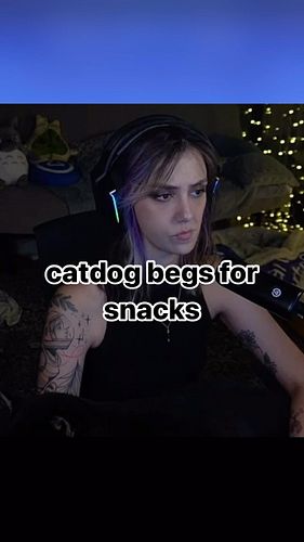 sometimes we are blessed with my dog/cat on stream, but he always begs for snacks
#shibainu #twitchclips #blackandtanshiba #d...