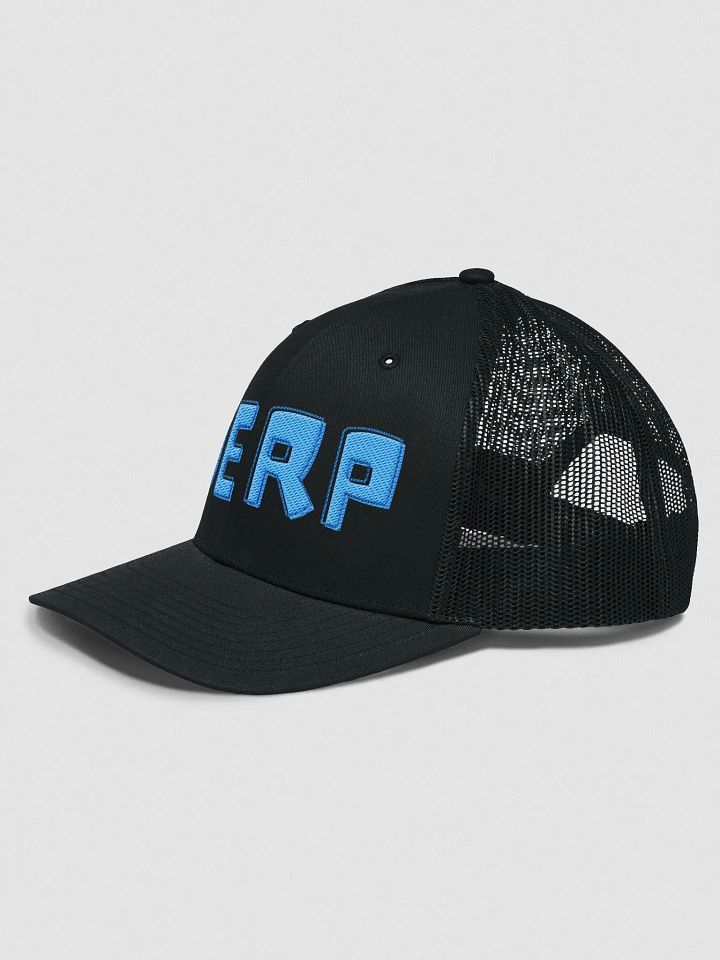 Derp Hat product image (2)