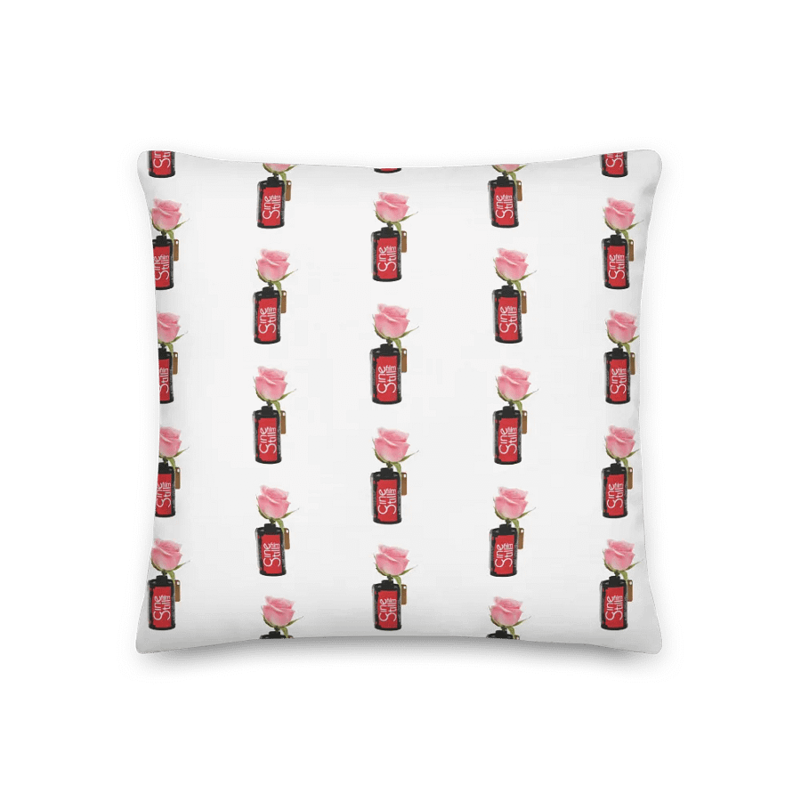 Cinestill Rose Reversible Pillow product image (3)