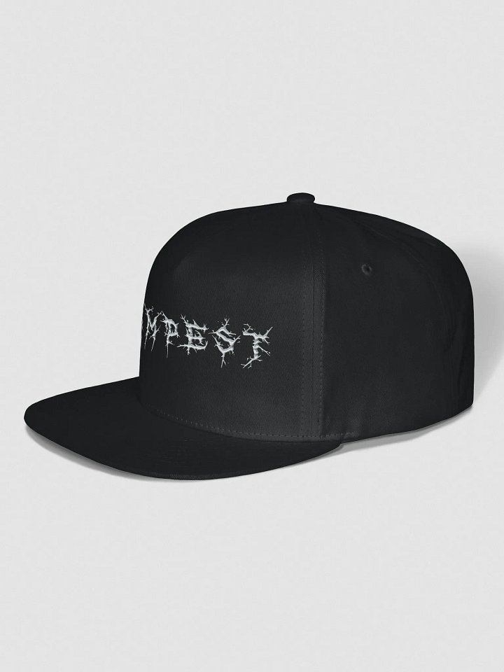 TeamPEST Black Snapback Cap [VOLUME II] product image (2)