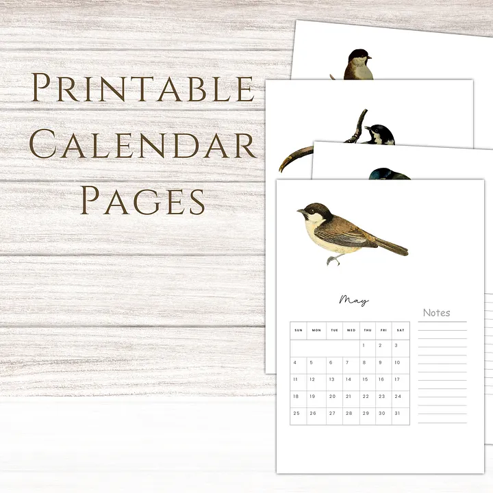2025-2026 PDF Calendar: American Birds product image (1)