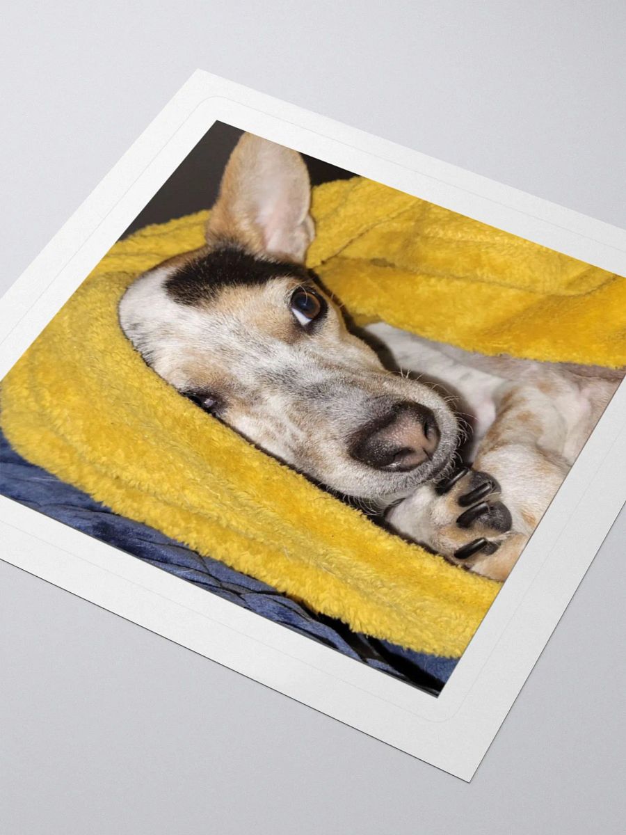 Bronx in Repose product image (8)