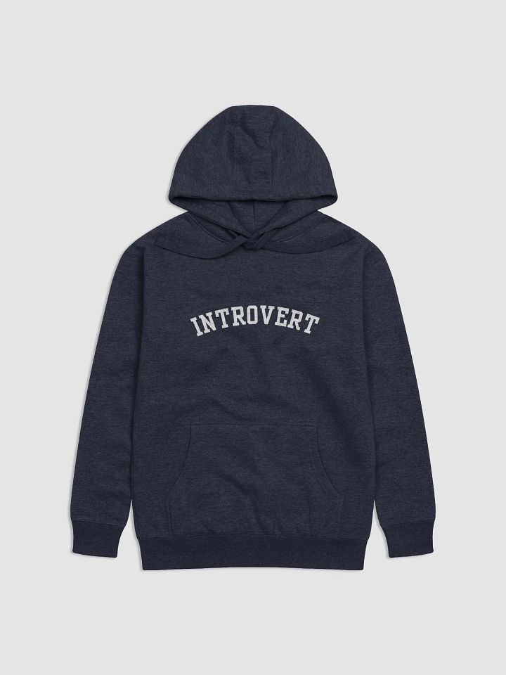Introvert Hoodie product image (1)