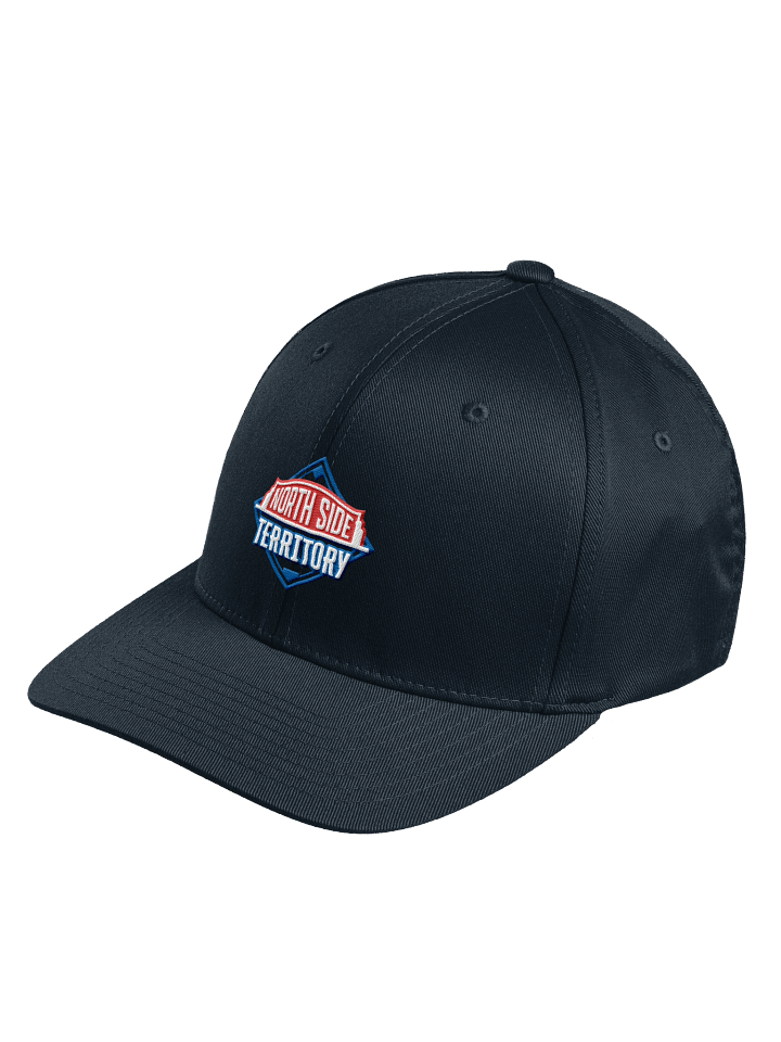 Fitted Hat product image (1)