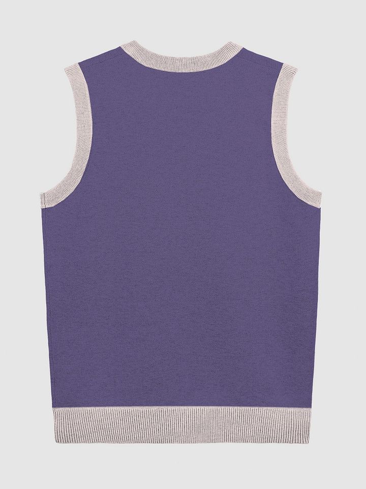PLEASE DON'T MAKE ME TALK (light pink and purple) knitwear vest product image (6)