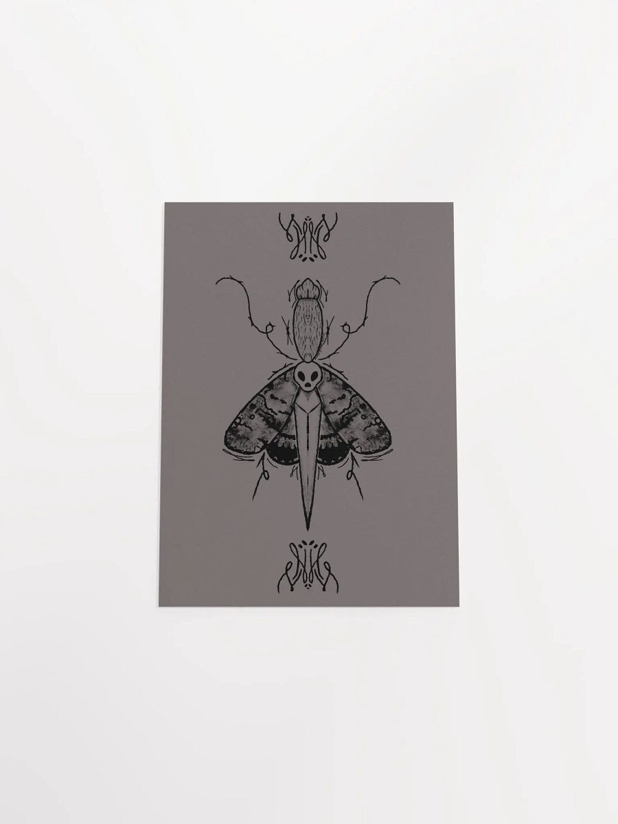 Dagger Moth Print product image (26)