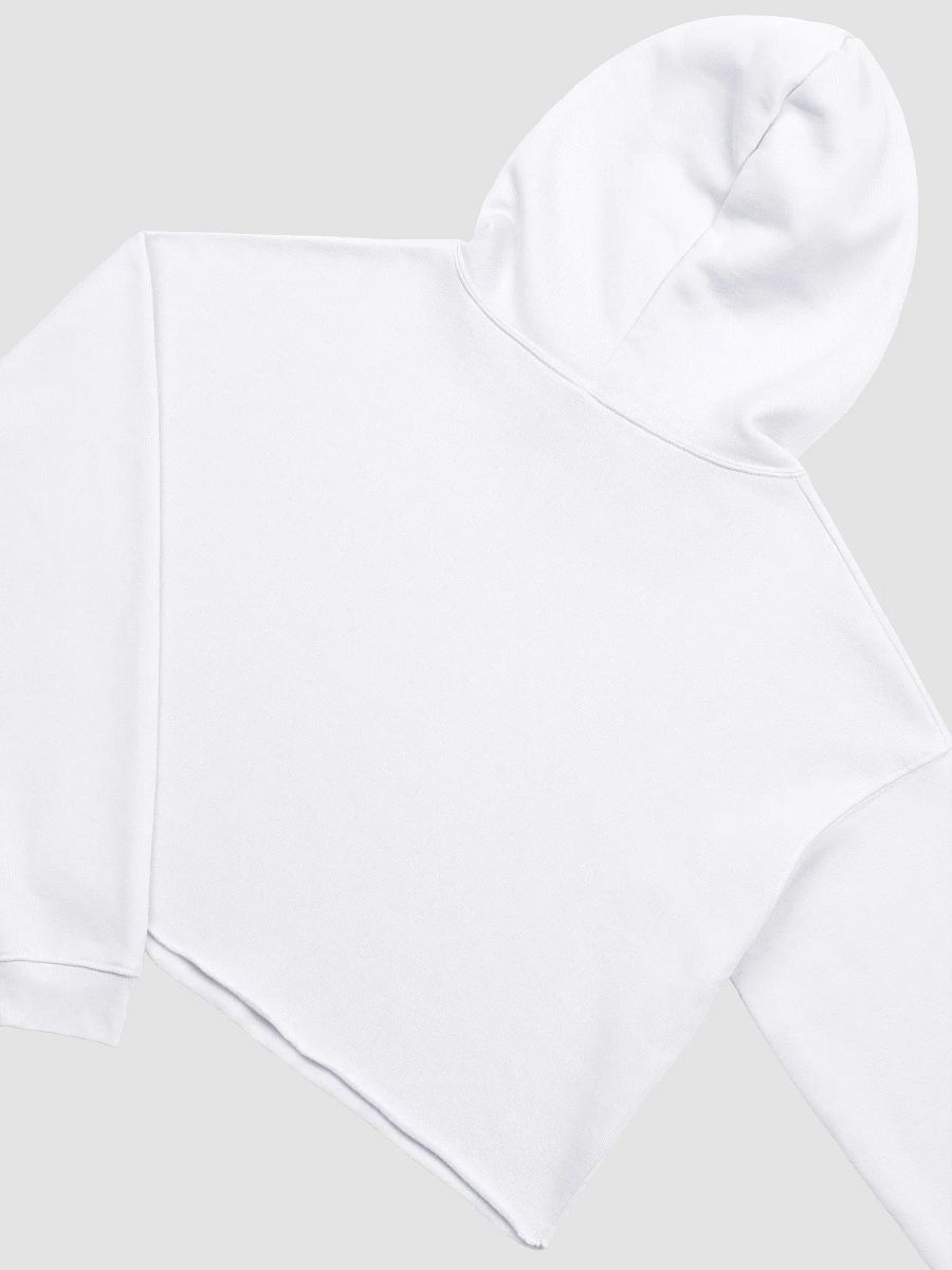 Prismatic Feline Spectrum Hoodie product image (36)