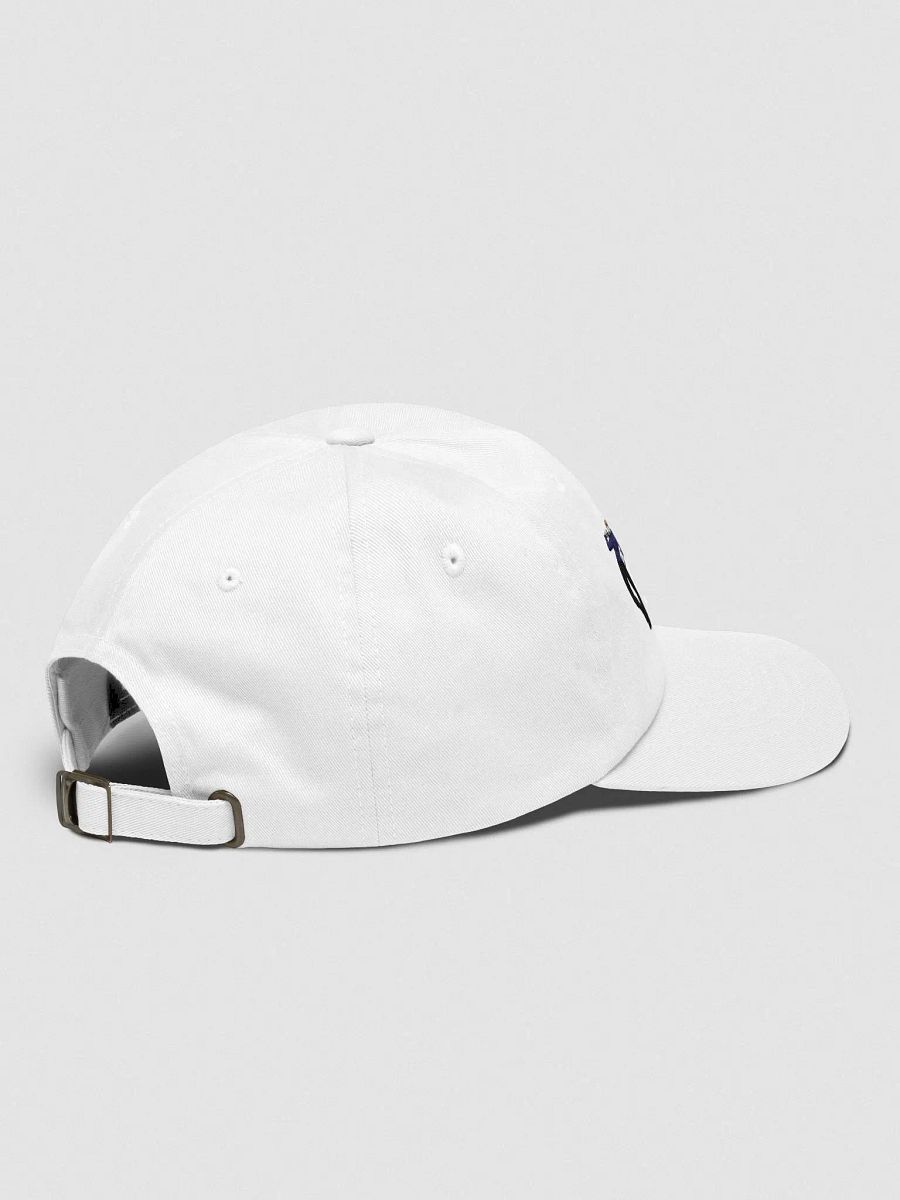 Marcus and Dayton hat product image (4)