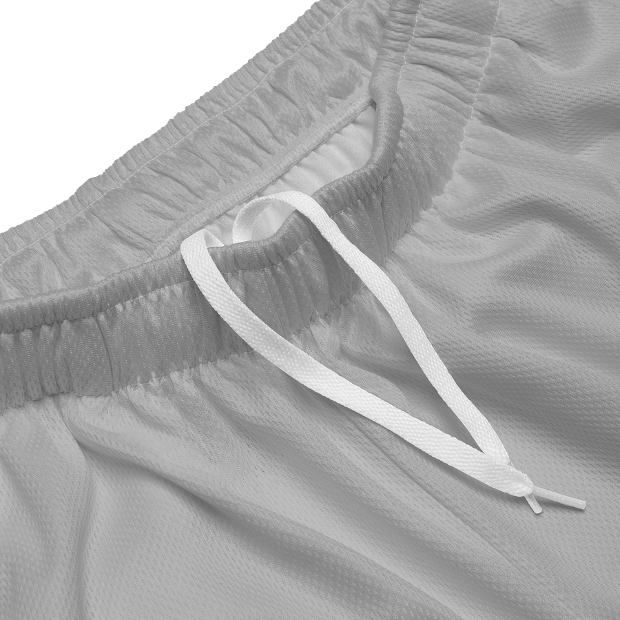 Grey Matter Mesh Shorts product image (3)