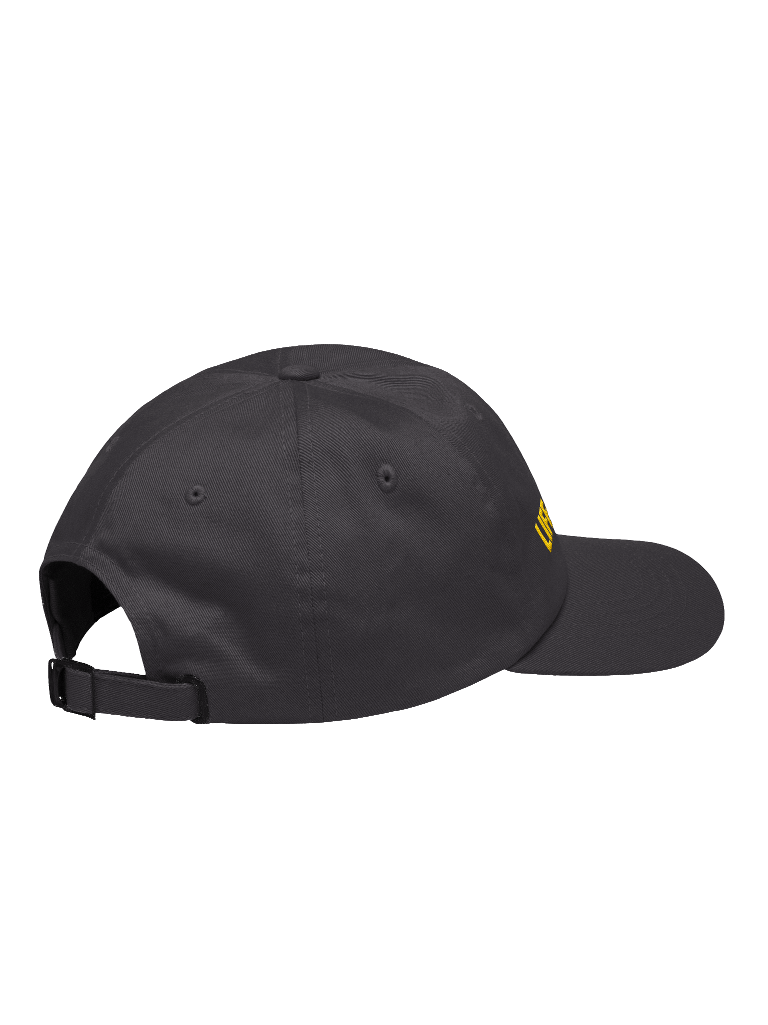 Life in LA Hat - Dark Grey product image (4)