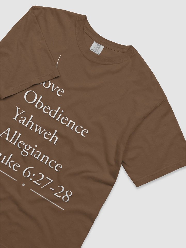 Faithful Obedience T-Shirt product image (2)