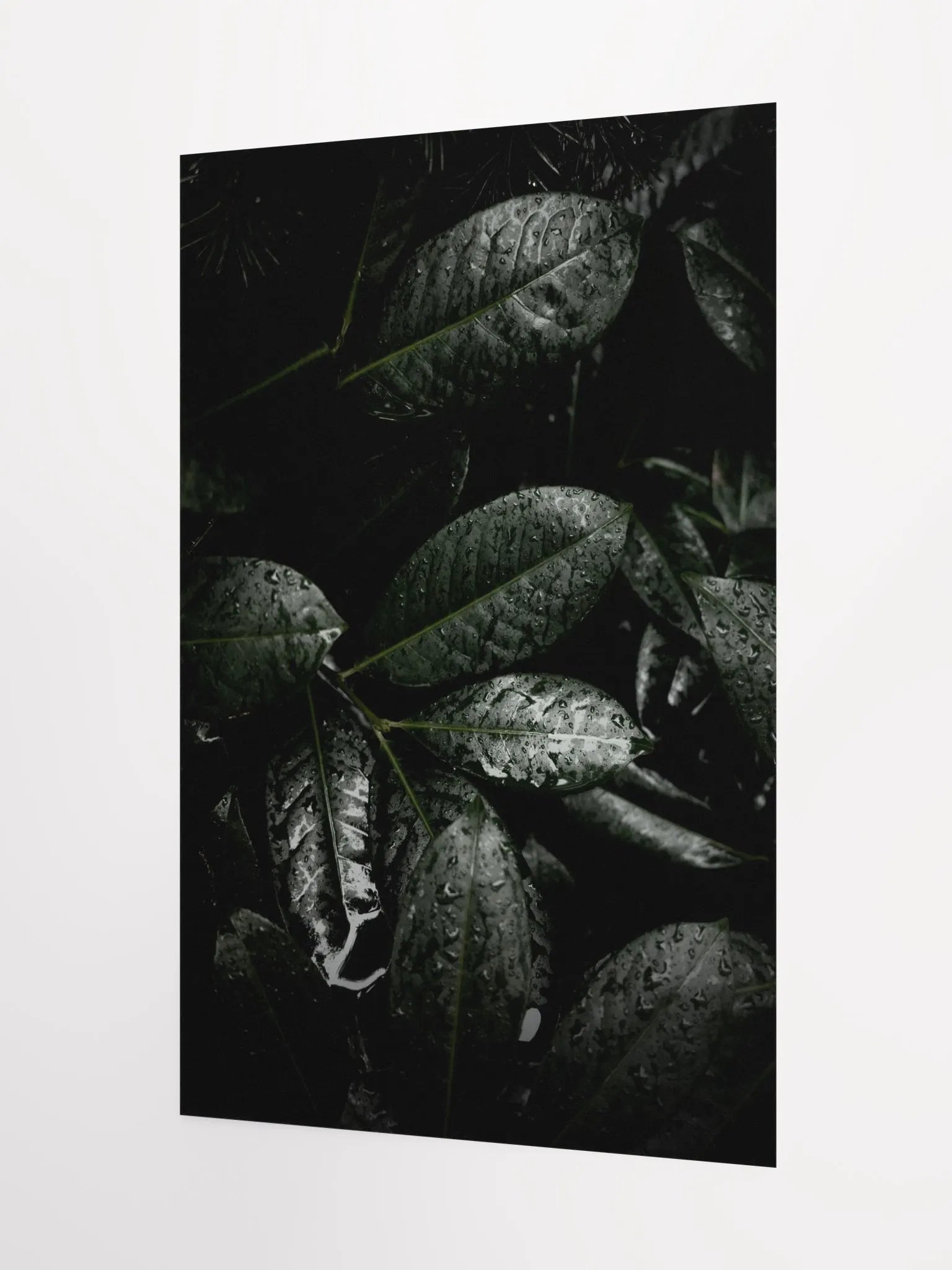 Winter Leaves - Matte Poster product image (2)