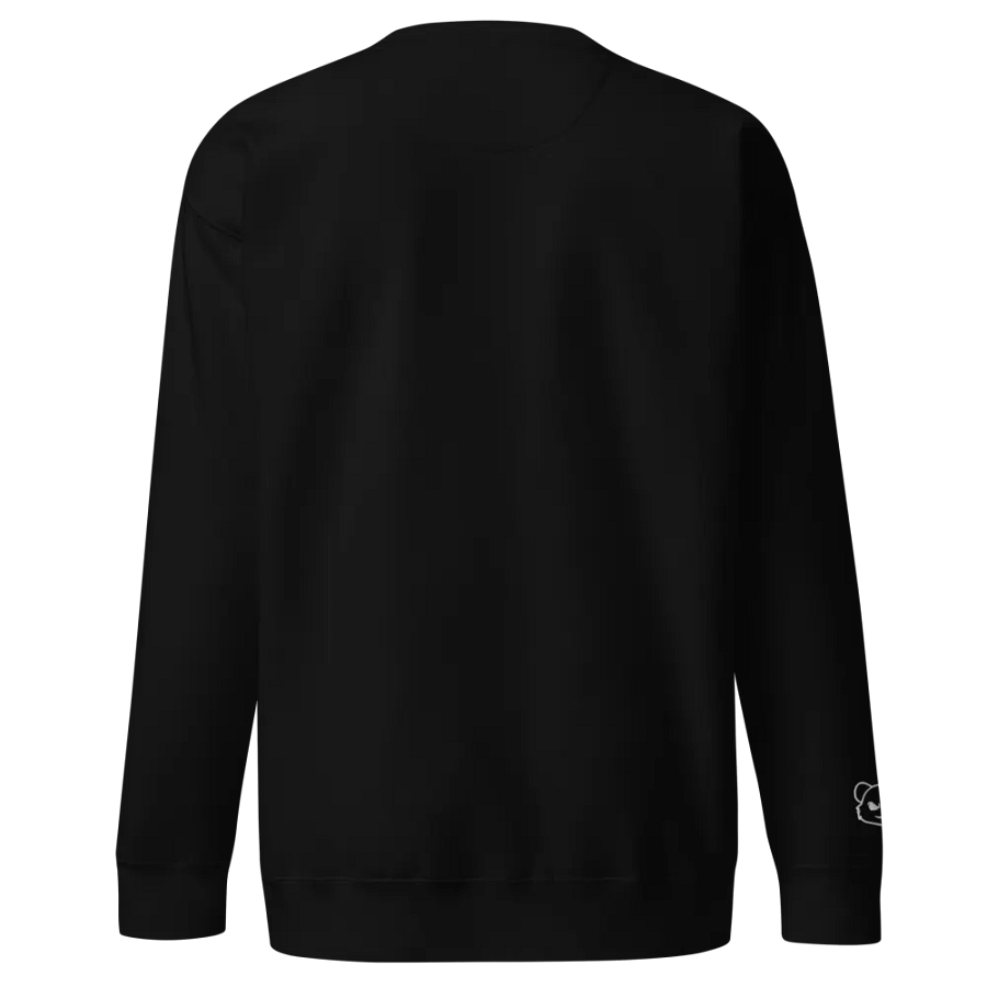 AW Embroidered Premium Sweatshirt product image (14)