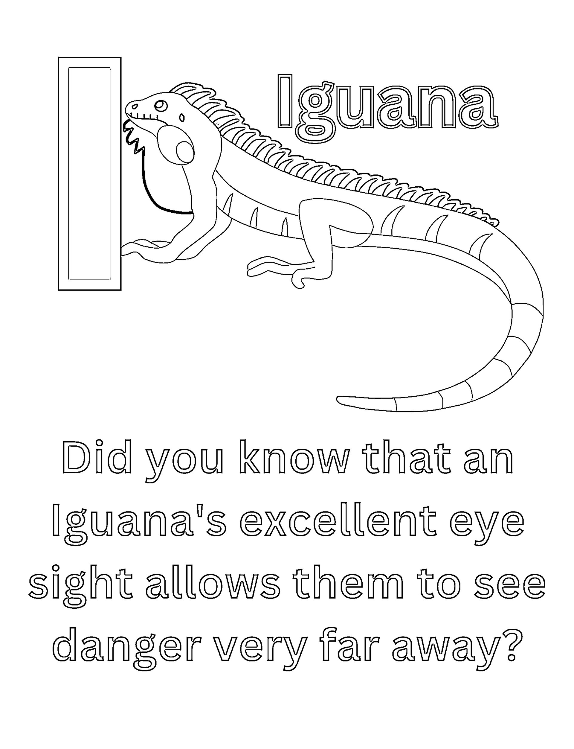 Cool Animal Facts for Kids ABCs Coloring Book product image (10)