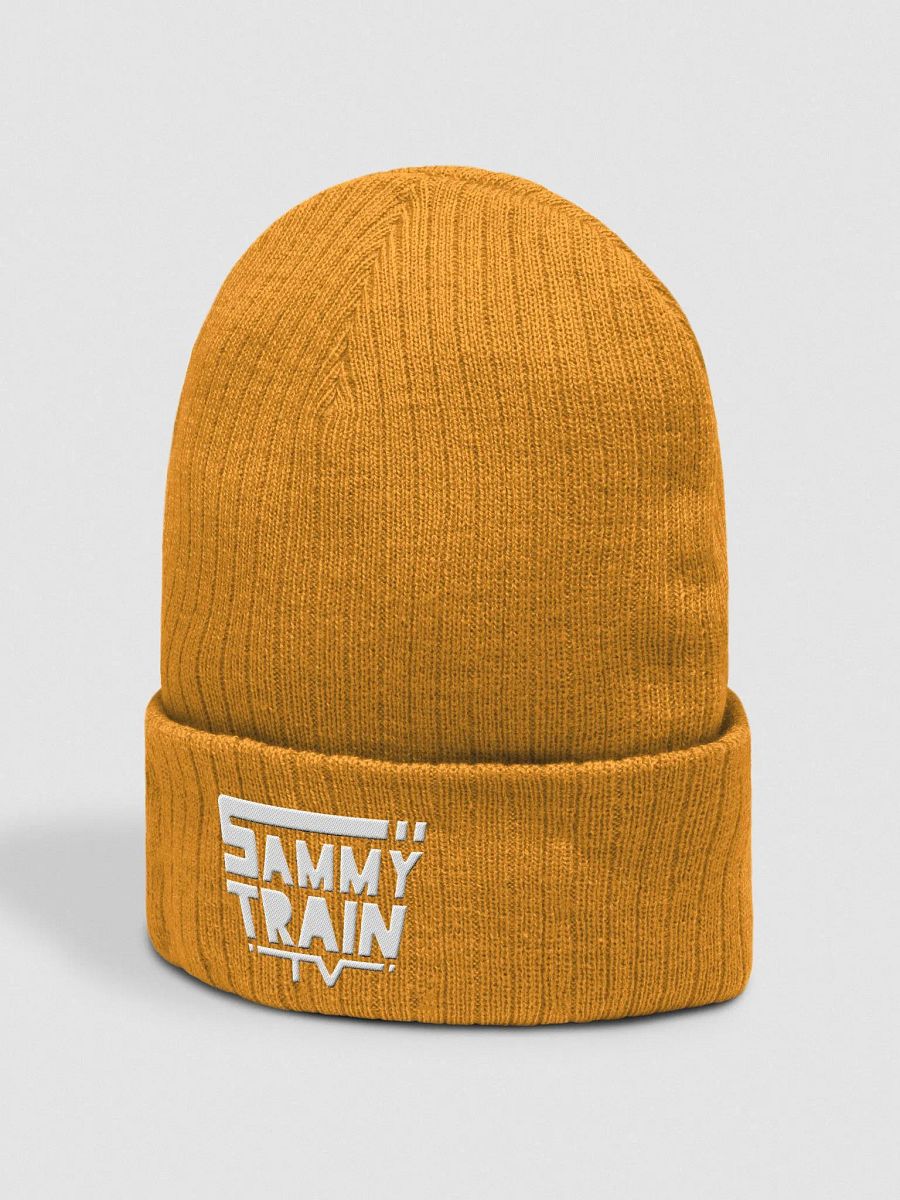 SammyTrainTV Logo Beanie product image (2)