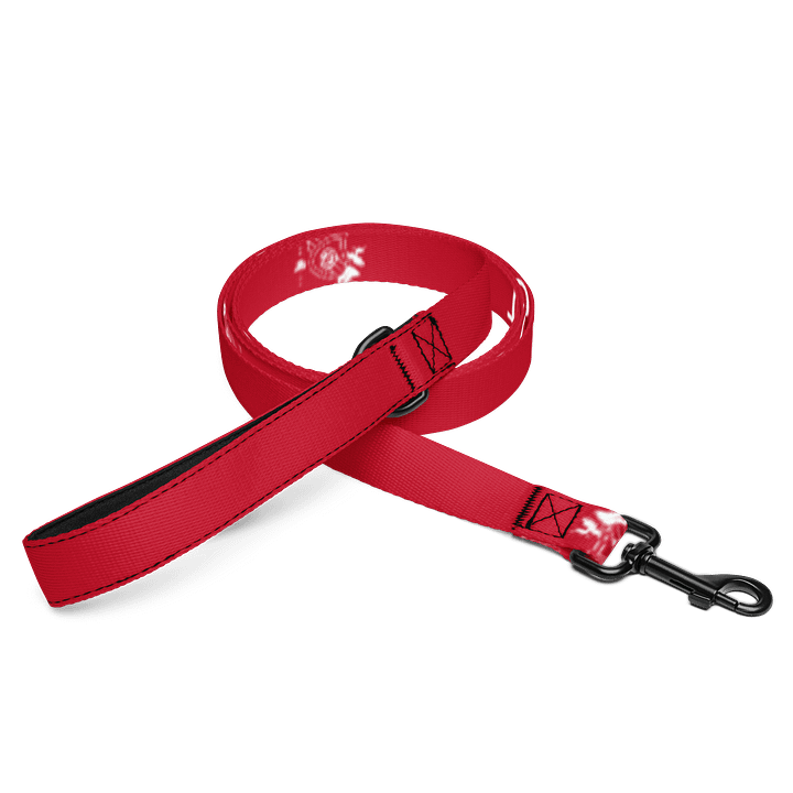 DO NOT PET - Pet Leash product image (1)