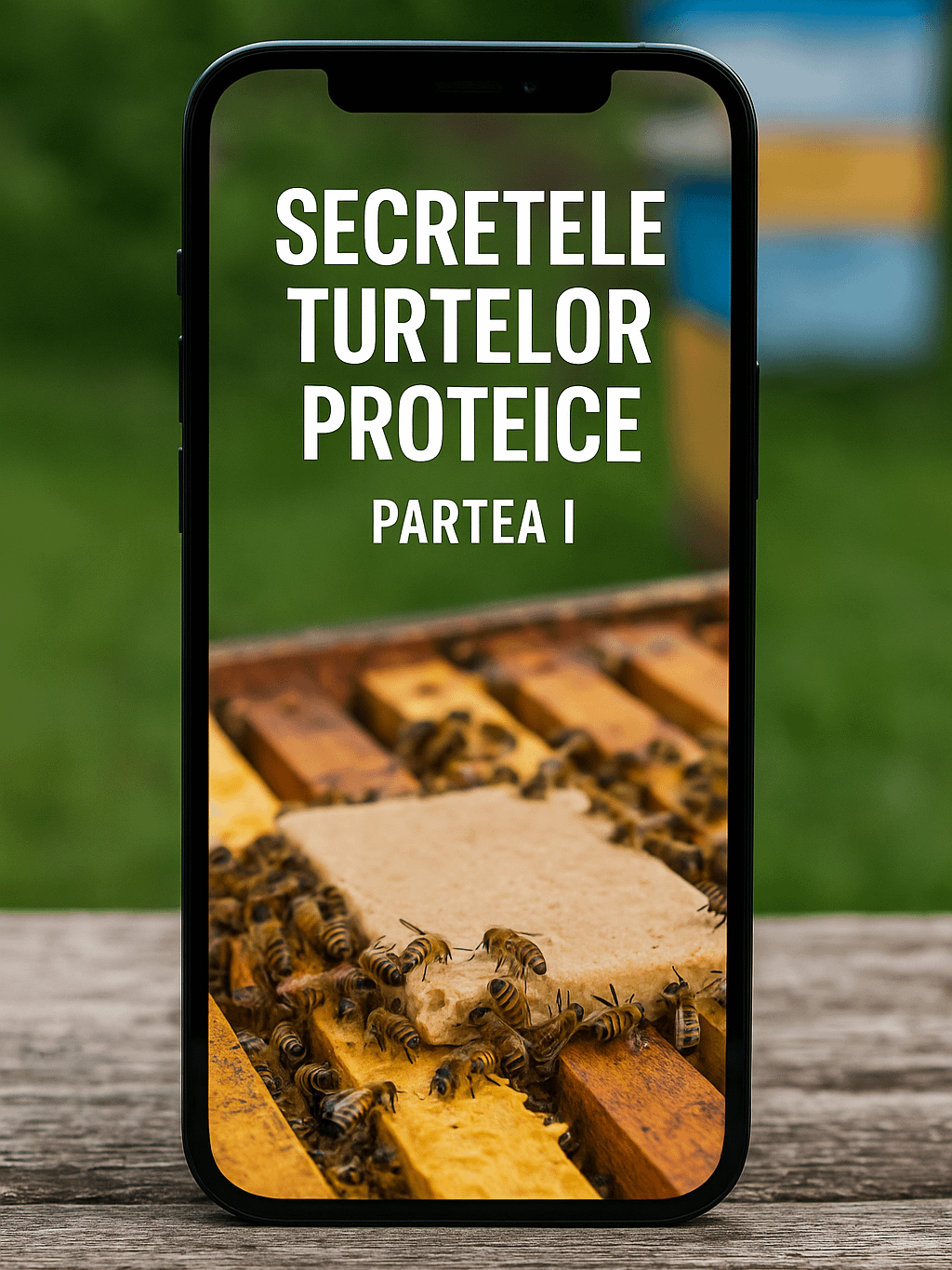Part. 1 - Secretele Turtelor Proteice product image (1)